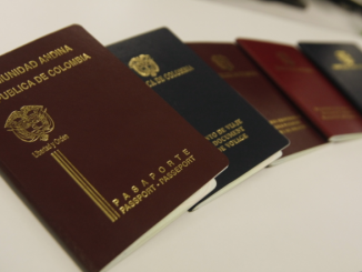 Razones para perder la visa