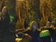 “Yo soy su comandante”: Policía insultó y manoteó a un patrullero y le salió caro