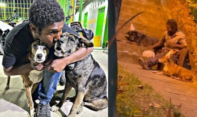 Hogar, mercadito y comida pa los perros: Choco ha recibido muchas ayudas