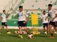 Selección Colombia Borré Díaz