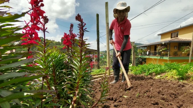 Agricultores en Medellín