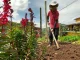 Agricultores en Medellín