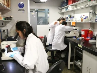 Grupo de Neurociencias de la Universidad de Antioquia
