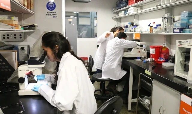 Grupo de Neurociencias de la Universidad de Antioquia