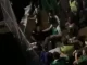 agresión Hincha américa