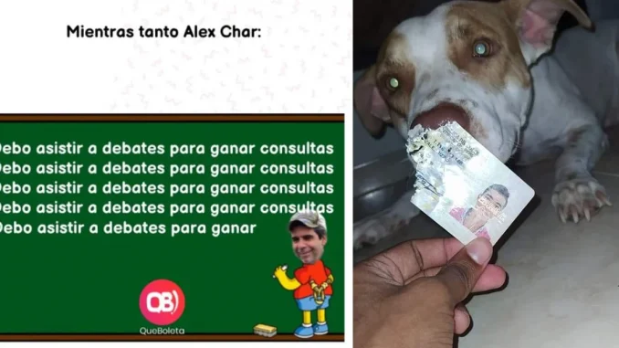 Los memes que dejó la jornada de votaciones en Colombia