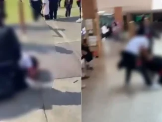 Peleas-y-Bullying-en-Colegio-de-la-UPB