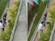 Robo-a-extranjeros-en-El-Poblado