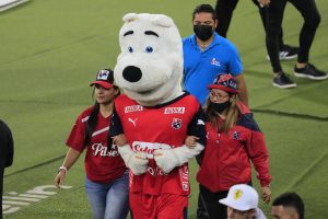 Clásico paisa, hinchas, mascota, medellin, nacional, hinchas