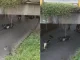 Motociclista-cayo-de-un-puente