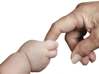 Bebé