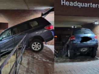 El GPS le indicó que bajara el carro por las escaleras y ella hizo caso