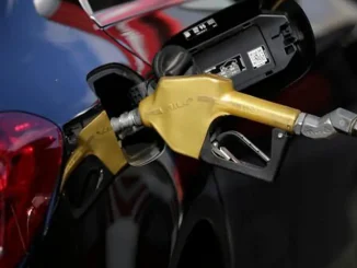Gasolina