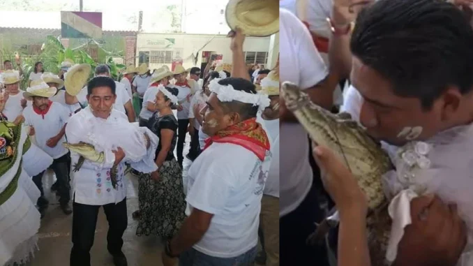 El alcalde que se casó con un caimán