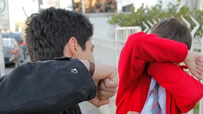 Pelea de colegio, Bogotá, caso de bullying