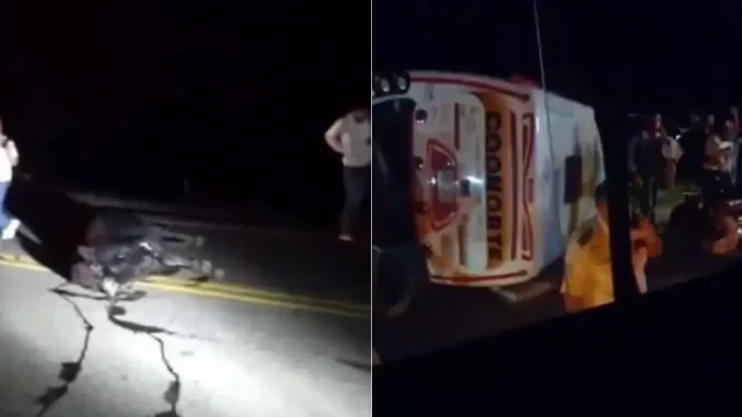 Bus-vocaldo-por-esquivar-una-vaca