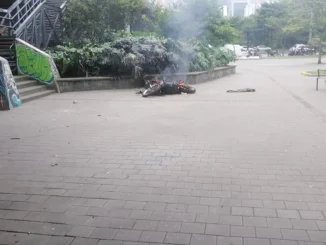 Otra moto se salvó.