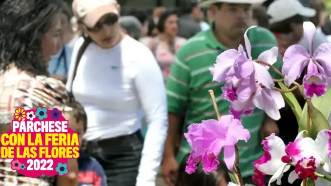 Orquídeas, Naturaleza y Tradiciones otro imperdible de la feria