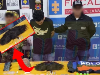 El joven sería un presunto cabecilla de una banda.