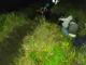 Todos fueron rescatados sanos y salvos.