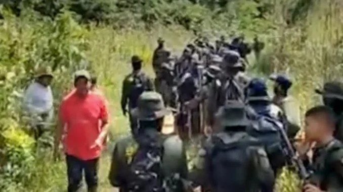 Fuerza pública y campesinos cultivadores de coca concertaron