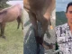 Jhonny Rivera rescató a un caballo fracturado