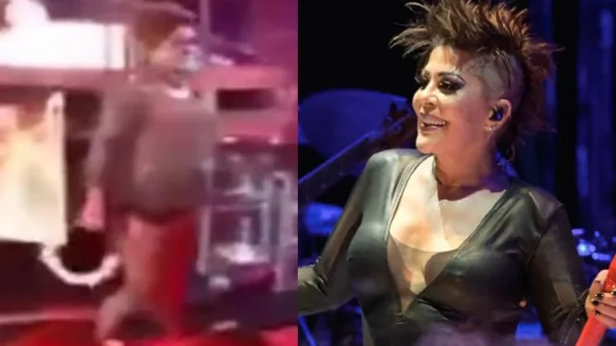 Alejandra Guzmán le lanzó una pandereta a una fan