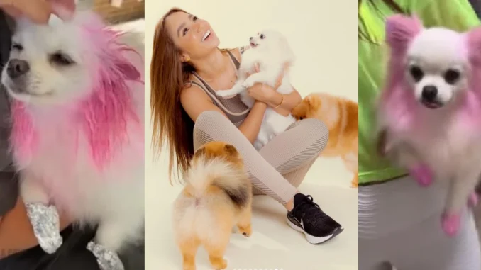 Paola Jara respondió a críticas por tinturar a su perrita