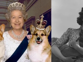 Los consentidos de la reina Isabel II que cuestan una millonada