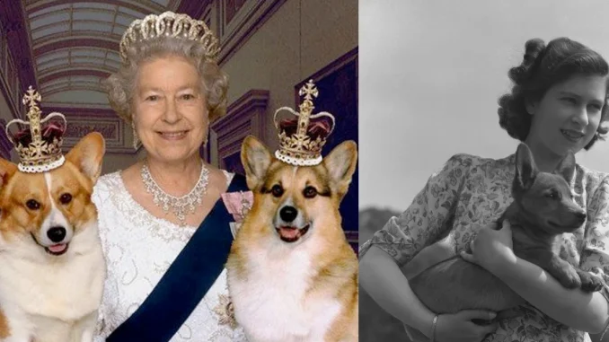 Los consentidos de la reina Isabel II que cuestan una millonada