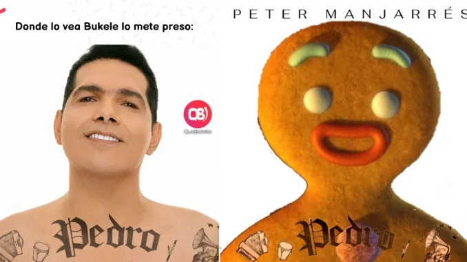 Peter Manjarrés, nuevo álbum, Pedro, música, memes, redes sociales, viral, Q’Hubo Medellín