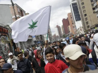 Tras múltiples intentos en distintas legislaturas, la legalización de la marihuana finalmente avanza.