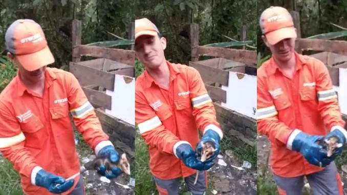 Zarigüeya, video, viral, Emvarias, medio ambiente, Q’Hubo Medellín