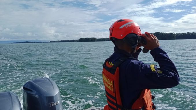 Tiburones incautados