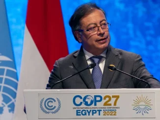 El presidente Gustavo Petro viajó junto a una delegación de 200 personas a Egipto para participar de la COP 27.