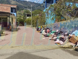 Un reciclador encontró el feto.