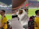 Ecuador, Catar, Mundial, Catar 2022, partido, hinchas, video, viral, Q’Hubo Medellín