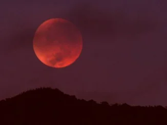 Luna, eclipse lunar total, luna, Colombia, Mundo curioso, Q’Hubo Medellín