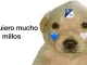 Memes Millos