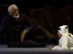 Morgan Freeman, Catar 2022, inauguración, Catar, estadio Al Bayt, Mundial, Q’Hubo Medellín