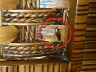 El motel fue sellado inicialmente.