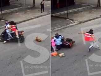Perro-atropellado-y-pateado-en-Villavicencio