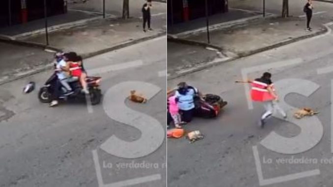 Perro-atropellado-y-pateado-en-Villavicencio