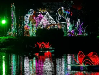 Alumbrados, Navidad, época decembrina, Parque Norte, Medellín, Q’Hubo Medellín