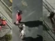 perro, muerte, accidente, Bello, bomberos, rescate, Q’Hubo Medellín