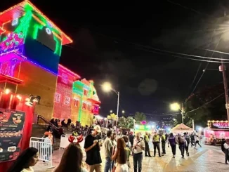 Le están metiendo más seguridad a los alumbrados