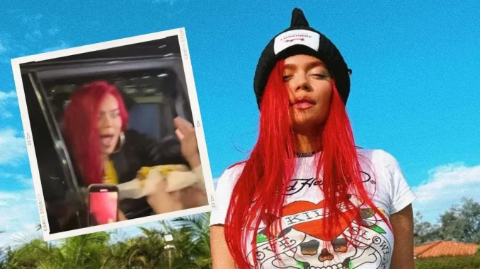 Karol-G-recibio-perro-caliente