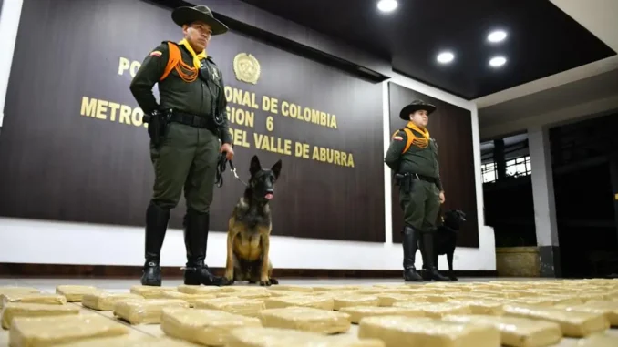 Marihuana-incautada-en-Sabaneta-1