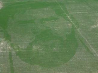 Rostro de Messi en Cultivo