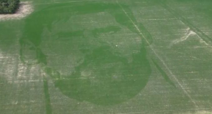Rostro de Messi en Cultivo